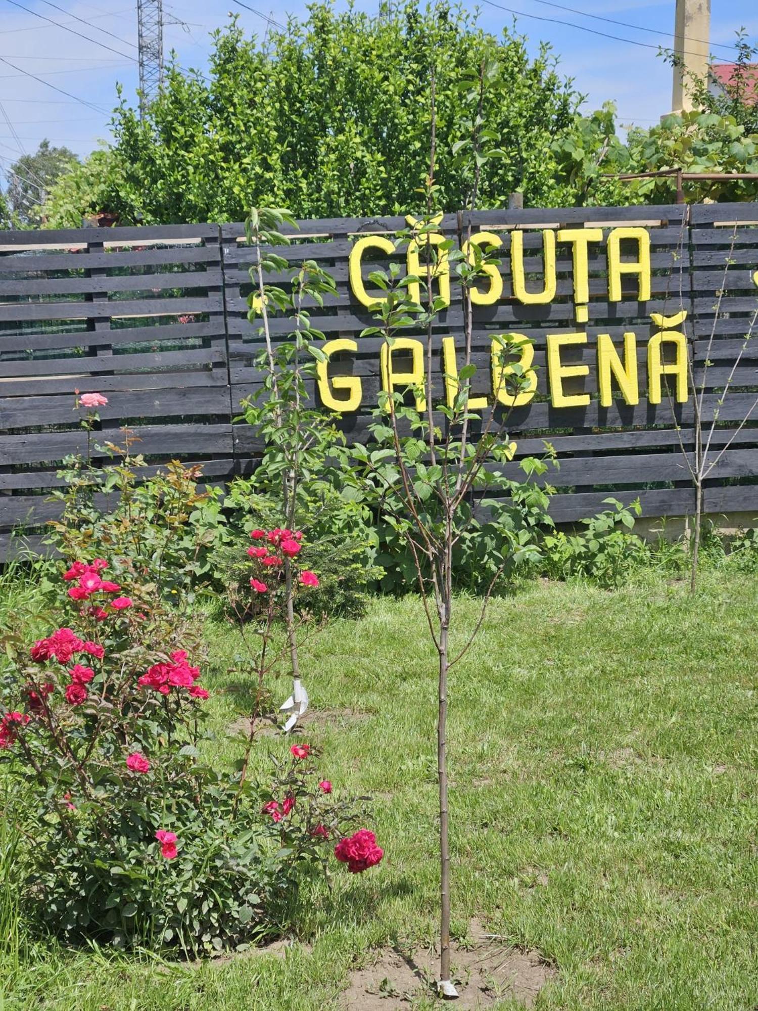 Villa Casuta Galbena Eforie Nord Esterno foto